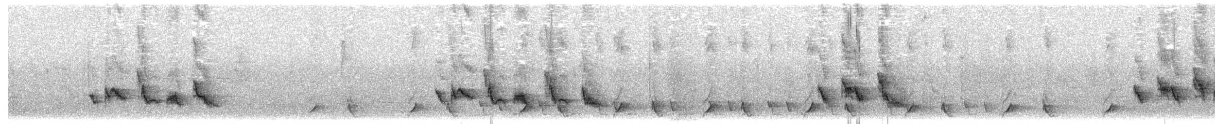 Sinsonte Tropical (grupo gilvus) - ML611617345