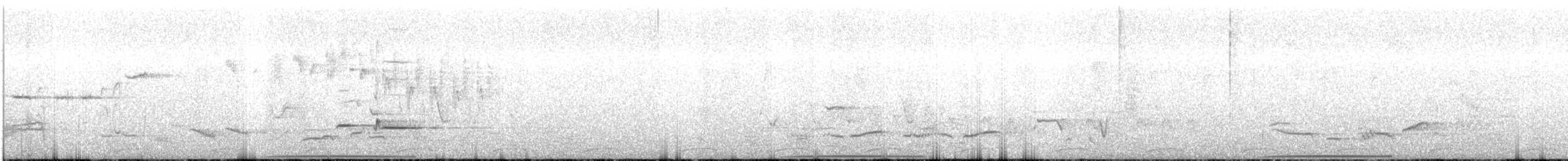holub pestrokřídlý - ML611619056