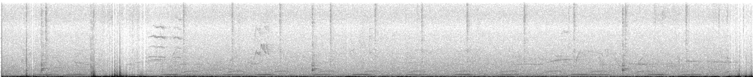 holub pestrokřídlý - ML611619156