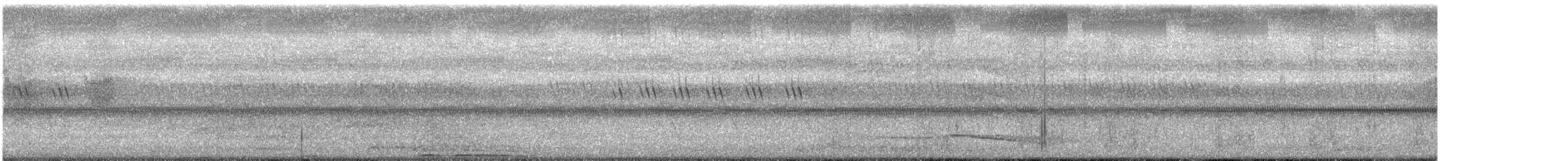 褐林鴞(indranee群) - ML611623723