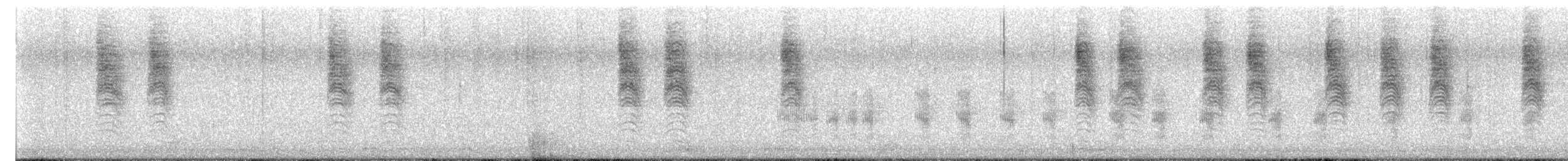 Northern House Wren (Northern) - ML611623887