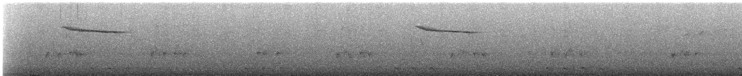 gasserskjæreskvett (inexspectatus) - ML611625501