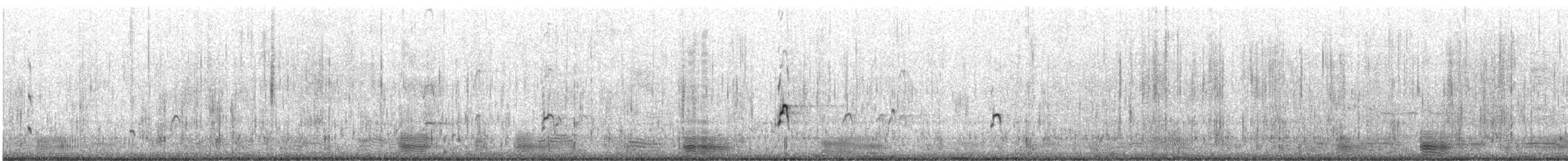 Reddish Egret - ML611626422