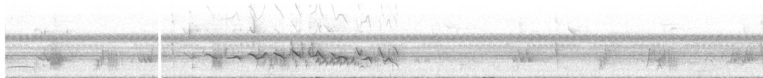 Kestane Karınlı Koca Tohumcul - ML611628660