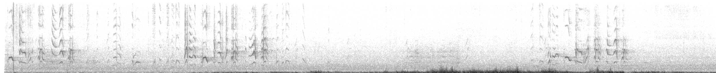 barnard límcový (ssp. barnardi) - ML611630680