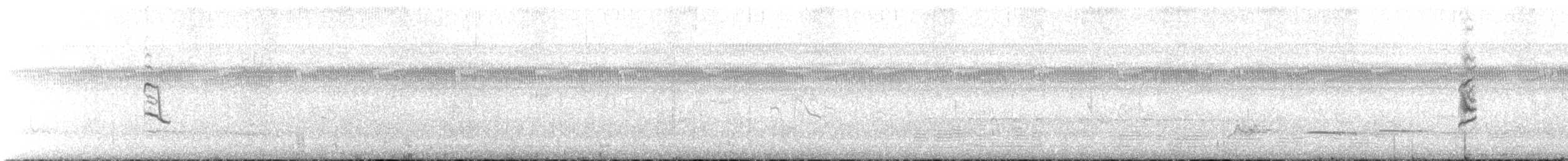 Sedef Karınlı Tohumcul - ML611633246