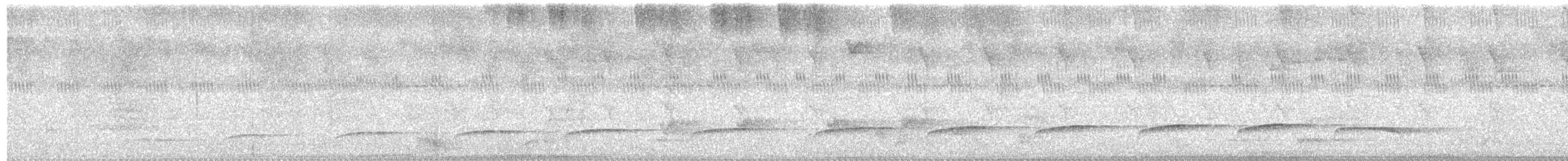 Streifenkehl-Attilatyrann - ML611634129