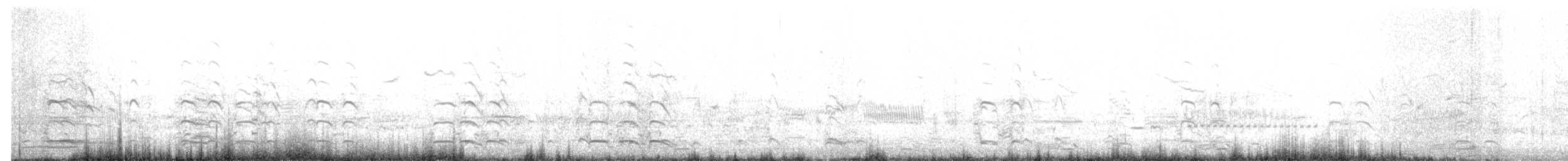 אווז לבן-מצח - ML611634155