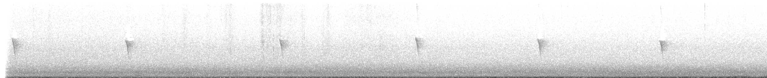 tyranovec domácí - ML611637726