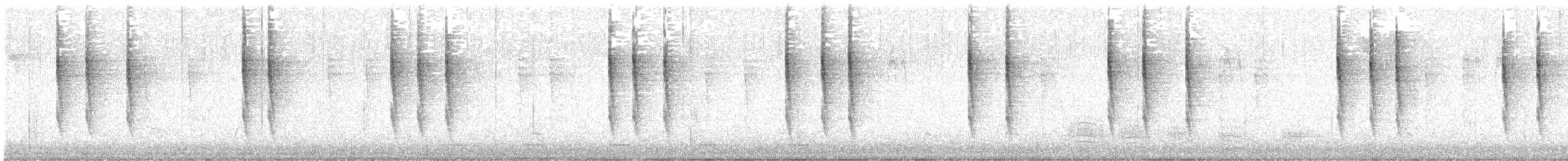 Troglodyte de Baird - ML611647033