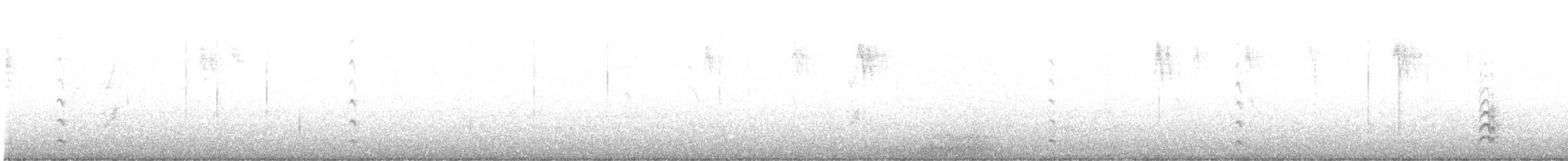 Weißbrustkleiber [lagunae-Gruppe] - ML611649802