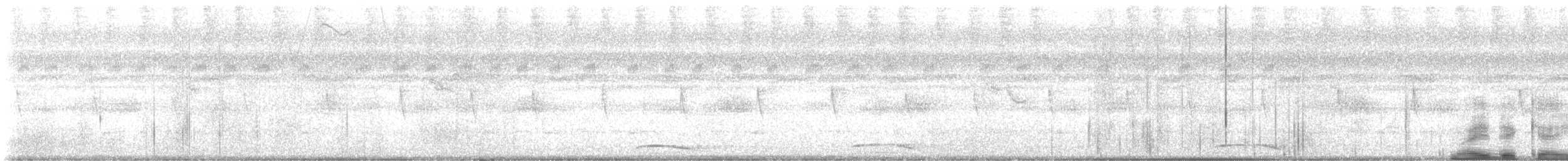 Ошейниковый лесной сокол - ML611649981