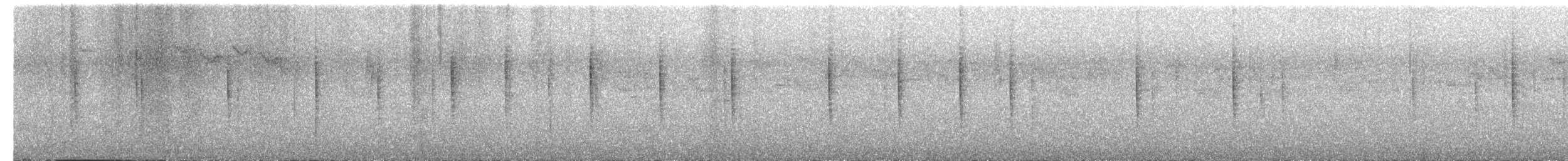 budníček temný - ML611652816