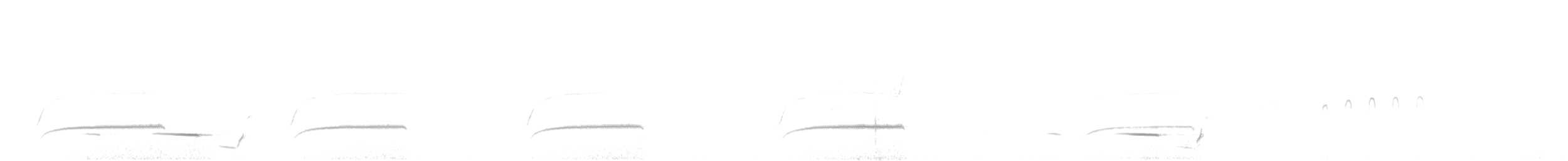 Diamant oculé - ML611653230