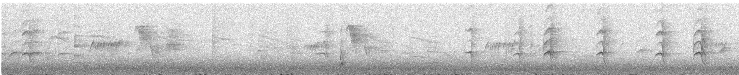 Gray-capped Pygmy Woodpecker - ML611654260