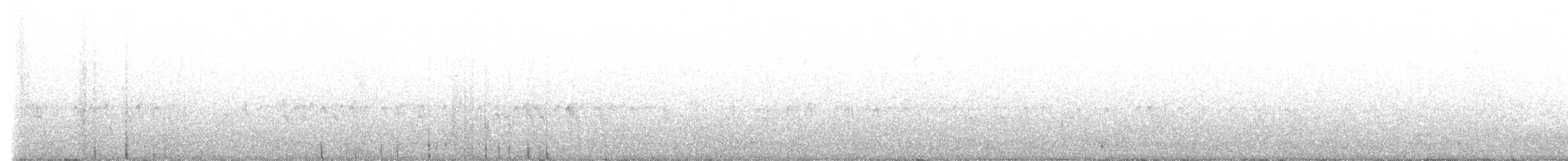 Шишкар ялиновий - ML611655437