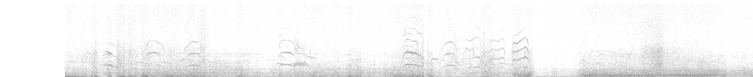 Mouette de Bonaparte - ML611658366