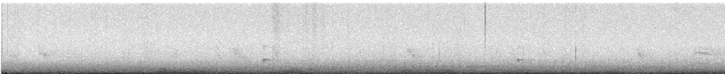 Ash-throated Flycatcher - ML611661366