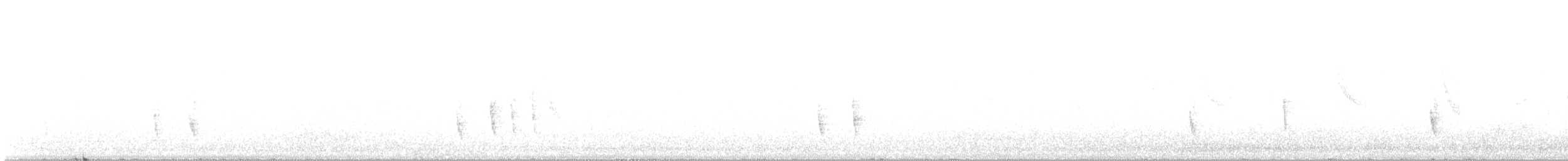 Münzevi Bülbül Ardıcı - ML611663187