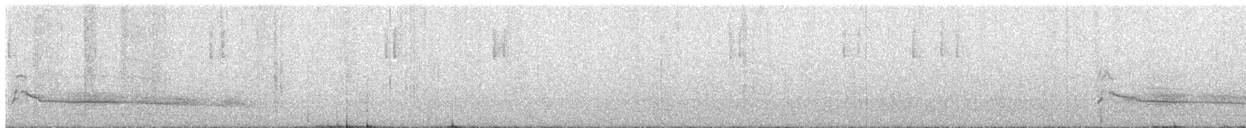 Краснохвостый канюк (borealis) - ML611668626