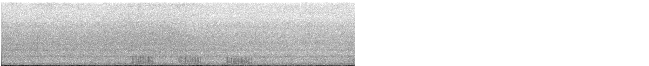 Pied Heron - ML611669975