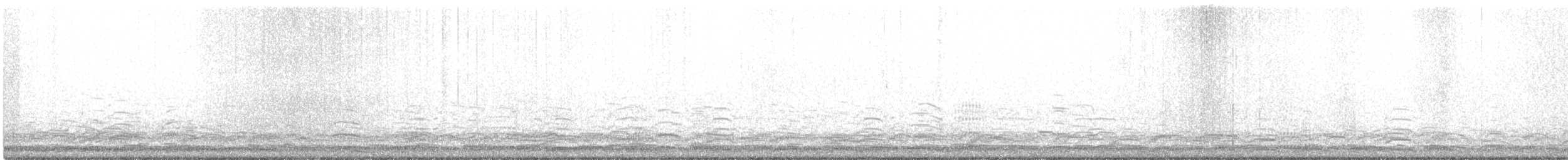 Cisne Chico (neártico) - ML611670782