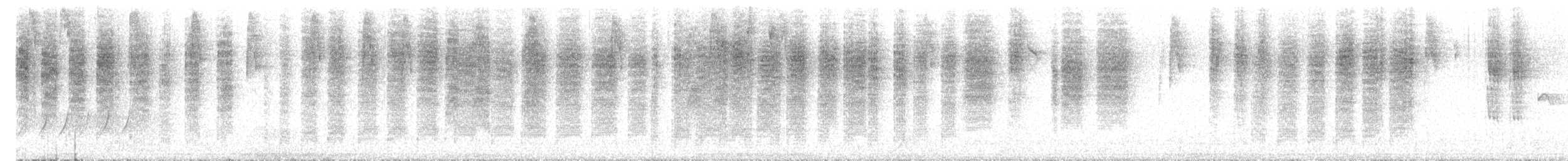 Roststirn-Dornschnabel - ML611673479