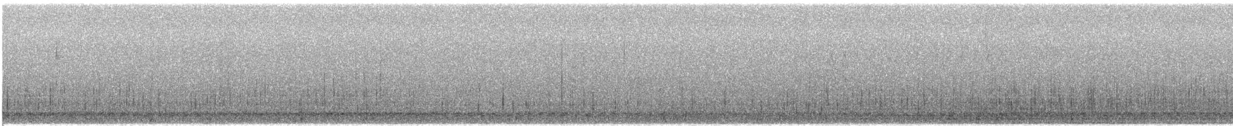 アラナミキンクロ - ML611676676