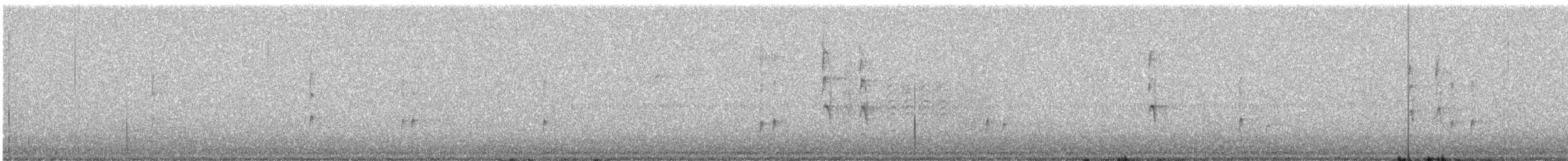 Поплітник каролінський - ML611678601