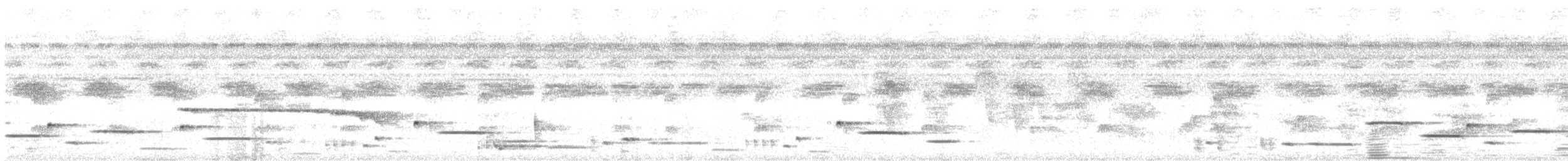 Musician Wren - ML611679303