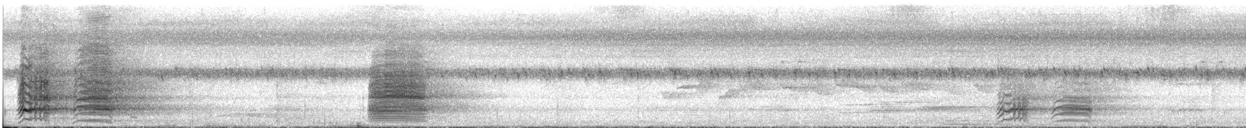 Papuan Eclectus - ML611684277