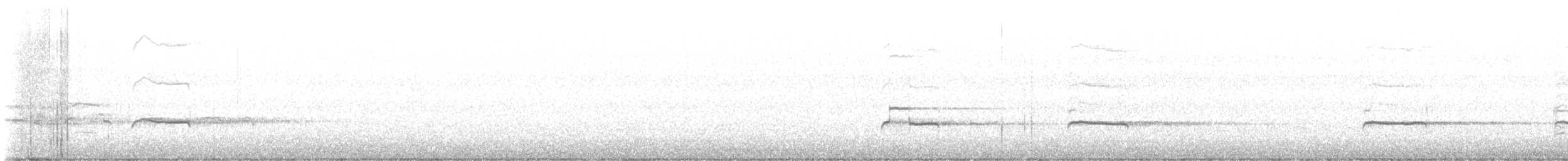 Black-bellied Plover - ML611684493