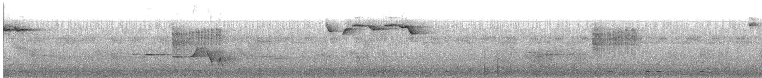 Olivscheitel-Stutzschwanz - ML61168761