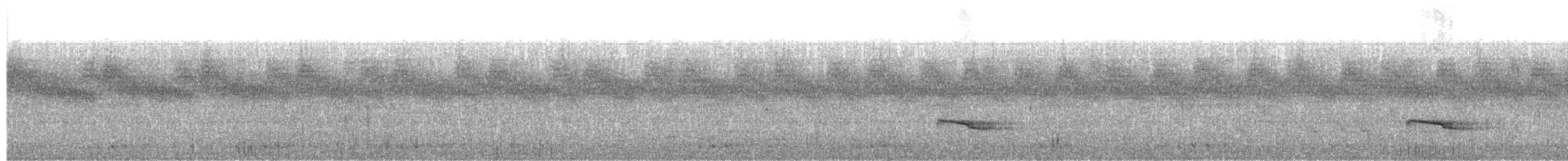 Серогрудый рогоклюв - ML61168881