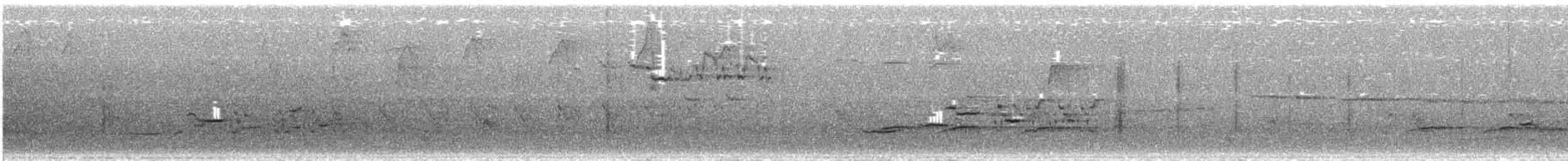 Münzevi Bülbül Ardıcı (faxoni/crymophilus) - ML611689200