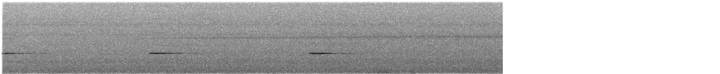Troglodyte balafré - ML611692147