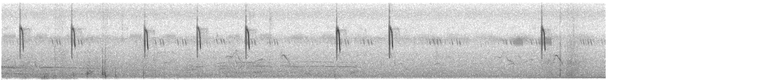 Cisticole des joncs - ML611694184