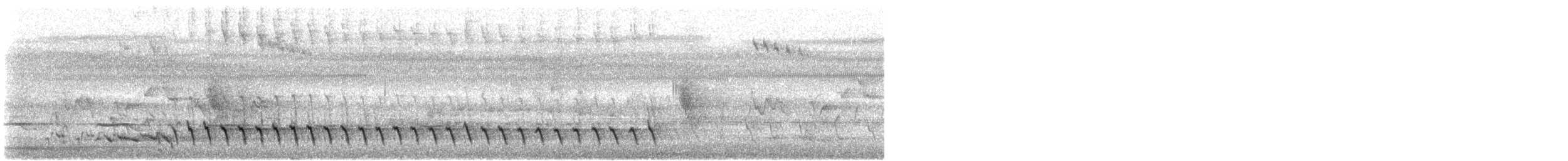 Méliphage de Lewin - ML611716464