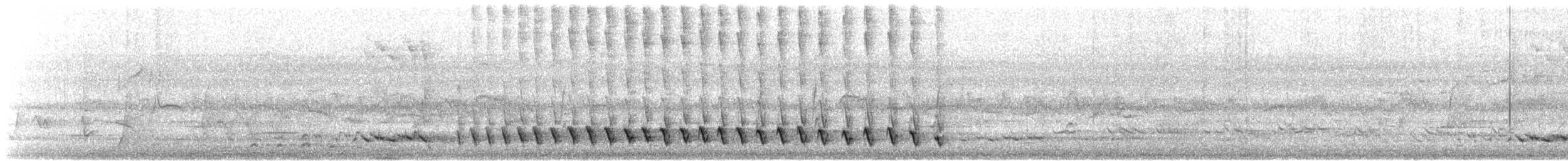 Méliphage de Lewin - ML611716476