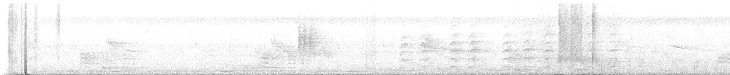 Weißbrustkleiber - ML611718039