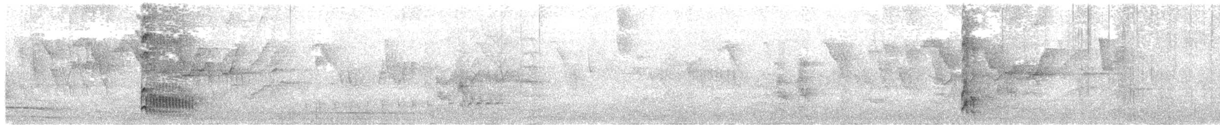 Декол плямистоволий - ML611719354