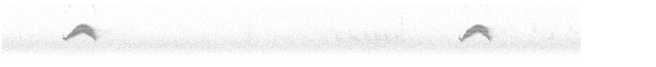 Kestane Karınlı Bülbül Tiranı - ML611725438