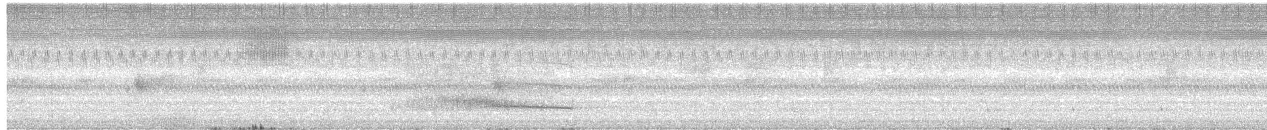 sova temná (ssp. tenebricosa/arfaki) - ML611734030