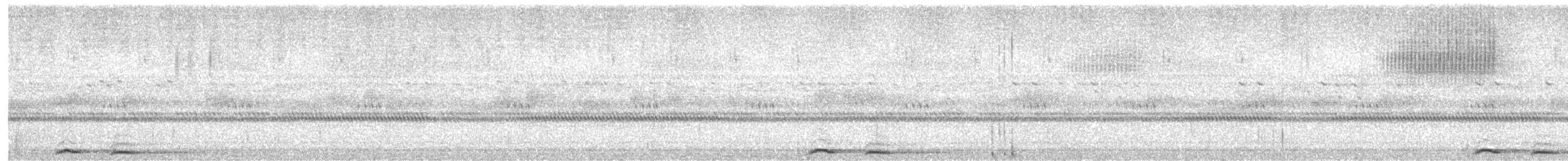 Австралийская иглоногая сова [группа boobook] - ML611734171