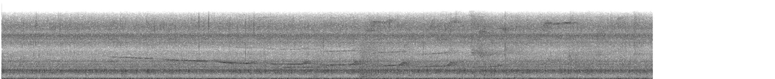 langhaletreløper (pallida gr.) - ML611737538