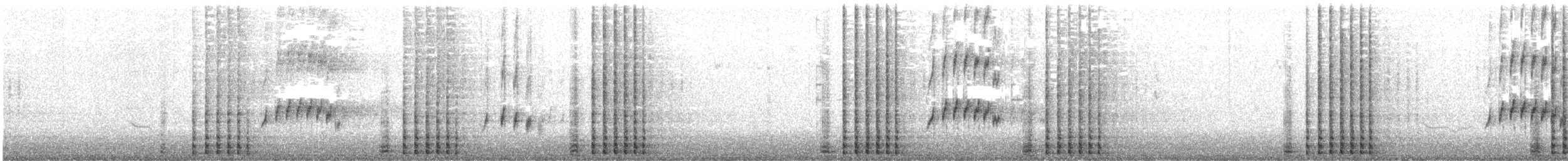 jeřáb kanadský (ssp. pulla) - ML611739853