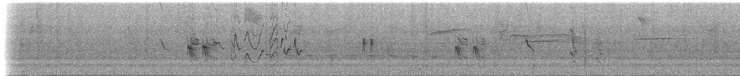 Sporophile variable (groupe ophthalmica) - ML611743808