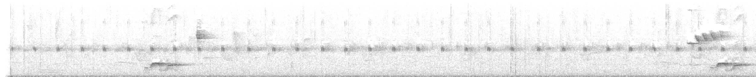 Bar-bellied Pitta - ML611748870