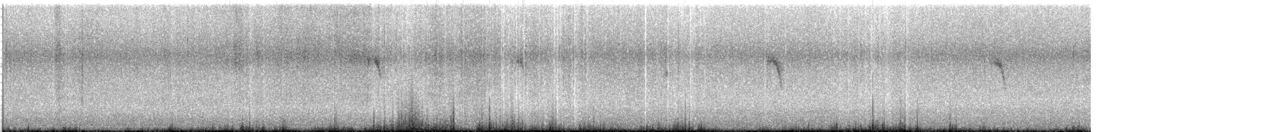Lavandera Cetrina (de dorso gris) - ML611754978