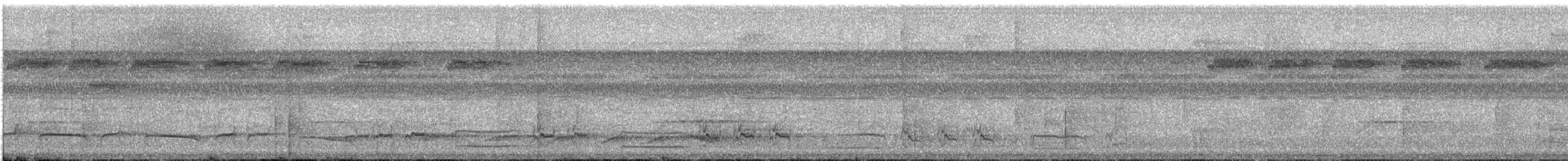 brunbeltedovenfugl - ML611756731